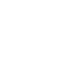 Scale Icon